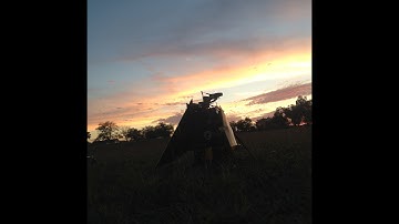 Virtuoso of Thrust: Dual EDF Thrust Vectoring VTOL System with Gimbal