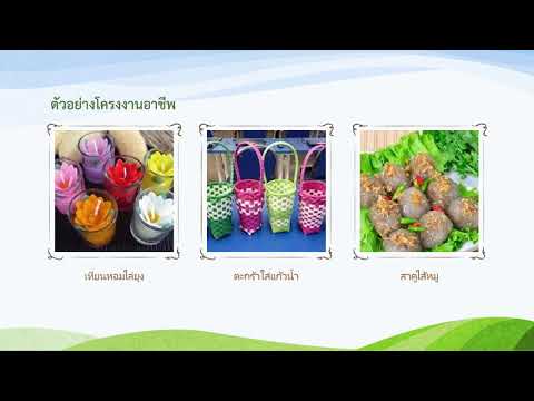 สื่อการสอน เรื่อง โครงงานอาชีพหมายถึงอะไร