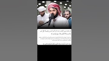 شيخ رعد الكردي حالات واتس اب | سورة (الانعام: ١٥٤)