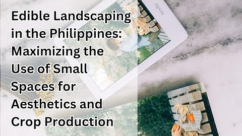 Edible Landscaping in the Philippines: Transforming Small Spaces into Food Havens