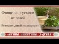 Выведение солей из суставов | Очищение суставов | Ревматоидный полиартрит | Арина Никитина