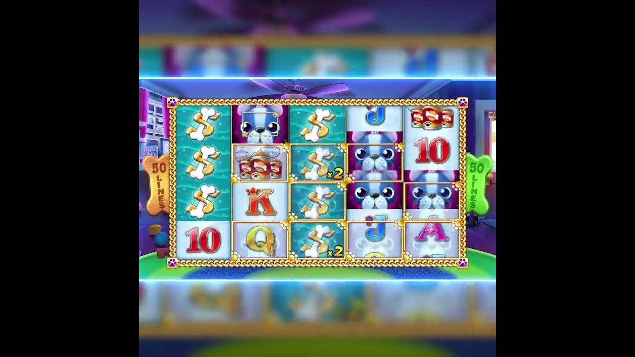 202407 VD01 MK HelloDoggy SLOT S CN