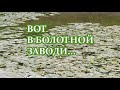 Вот в болотной заводи...