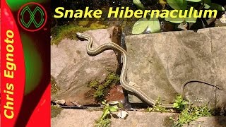 Snake Hibernaculum Herping tips