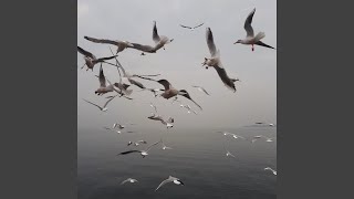 RaRa