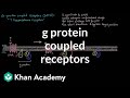 G Protein Coupled Receptors | Nervous system physiology | NCLEX-RN | Khan Academy