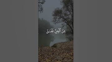 ما اسم القارئ لو سمحتم