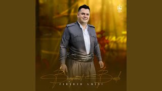 Bayanit Bash - Farshad Amini
