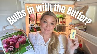 Pre Chilling Spring Bulbs How to Pre Chill Tulips Hyacinths and Crocus for Mild 