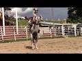 Exhibicion de Caballos Bailadores 23 Julio 2016 Jamiltepec