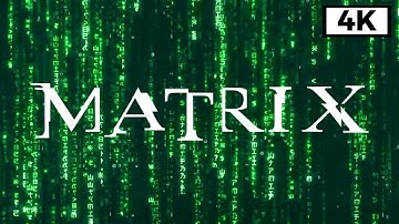 Matrix Rain Code - Longest Baсkground Video 4K