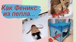 Как Феникс из пепла