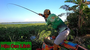 Canh nước lớn câu cá sông cá ăn lía lịa - Hậu Cao Lãnh