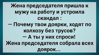 Доярки по Колхозу Без Трусов Ходят! Сборник Свежих Анекдотов! Юмор!