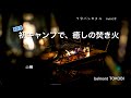 人生初のキャンプで「癒しの焚き火」します　180cm100kgキャンパーのキャンプ