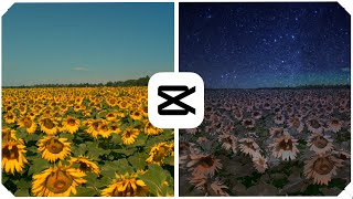 How to change the sky in a video using CapCut (PC).
