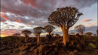 Ruy Mingas: «Meu Amor»