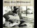 Big Joe Williams - Highway 49