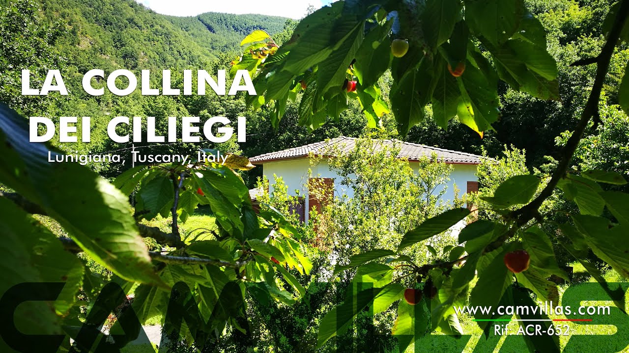 LA COLLINA DEI CILIEGI YouTube LA COLLINA DEI CILIEGI YouTube