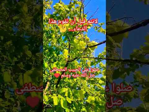 يارب افرجها على كل من ضاق به الحال القرآن الكريم Foryou Explore دعاء الحاجة الرسولﷺ Shorts