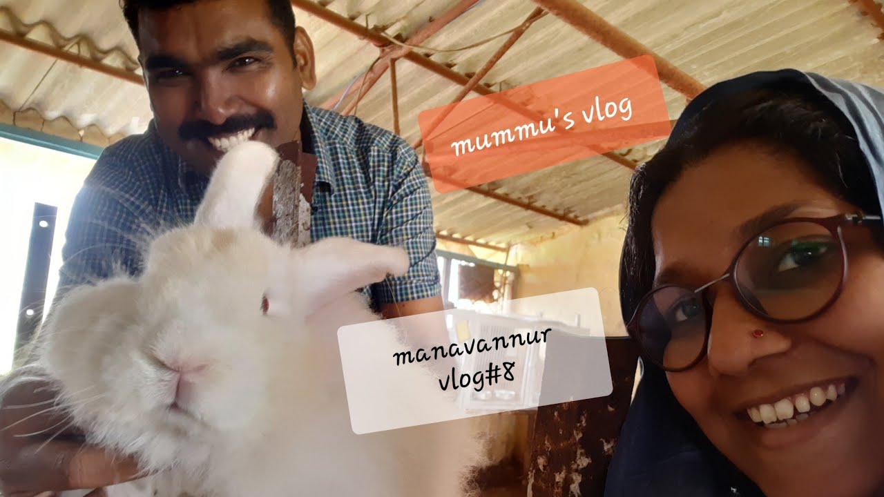 Sheep and Rabbits farm| Research center of central government ...