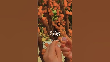 قرأن كريم راحة نفسية بصوت الشيخ #قران_كريم #قرآن #تلاوة_هادئة