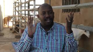 برنامج سنابل : الحلب الالي للماعز السعانين في السودان 2