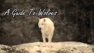 A Guide To Wolves - RestInComfortKindly