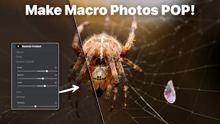The Secret to Stunning Macro Photos? AI Masking   Glow Effects