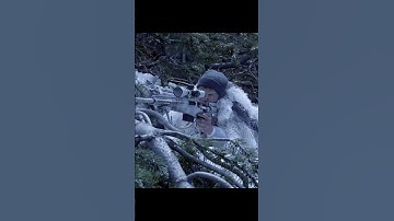 One Shot, One Kill: Sniper’s Justice From 1000 Yards 🎯💥