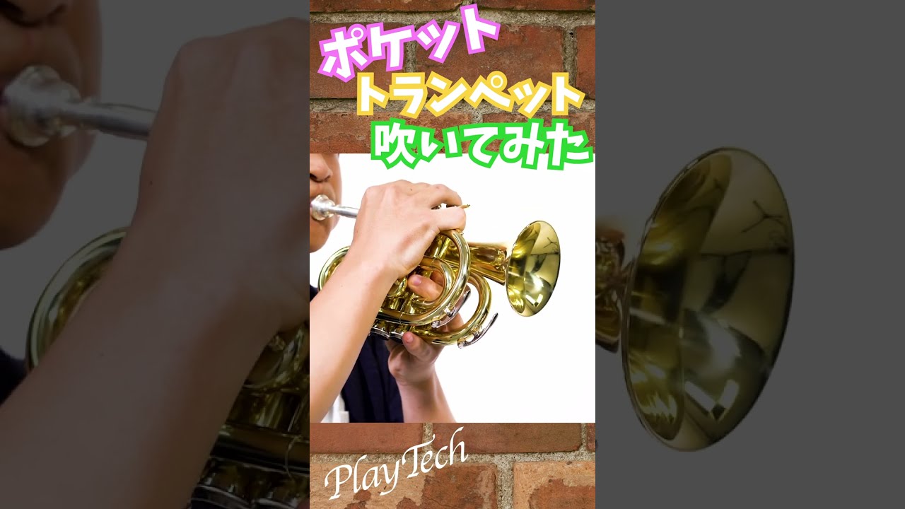 ポケットトランペット吹いてみた#サウンドハウス ＃管楽器