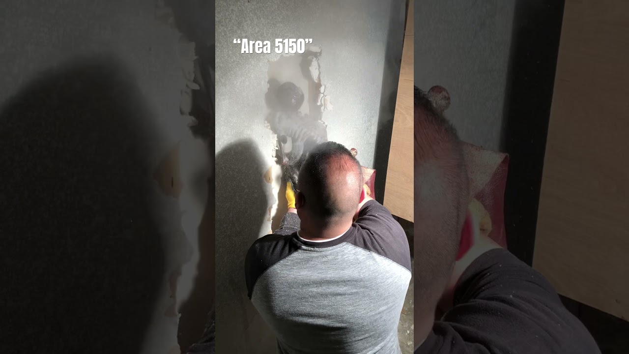 Horror  Scene “Area 5150”  