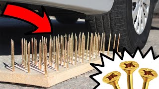 Experiment CAR vs GOLDAN SCREWS screenshot 5