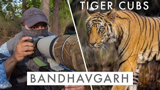 Photographing TIGER CUBS in BANDHAVGARH | TIGER COUNTRY Ep5  THE NEXT GENERATION