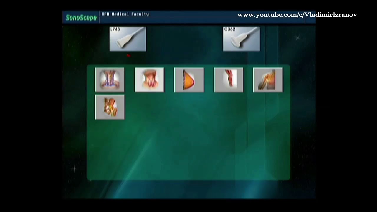 Видео для зачета по клинической анатомии 14 декабря 2017