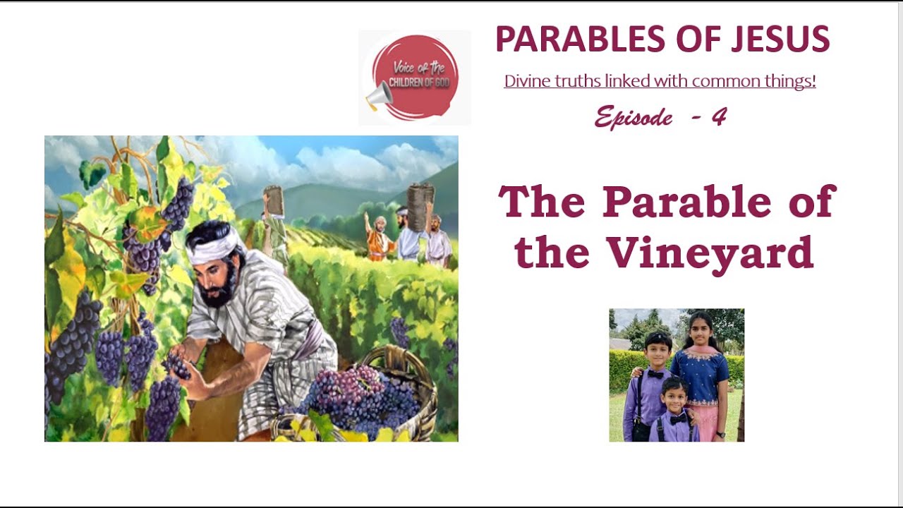 THE VINEYARD EPISODE 4 PARABLES OF JESUS YouTube The vineyard episode 4 parables of jesus youtube