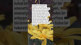 Kutsallık maskesi altında yapılan narsist zulüm... #narsizm #ebeveynolmak