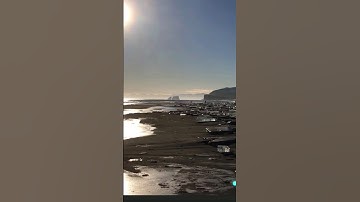 Check Out This Surprising Java Tutorial to Learn About Primitive Data Types!