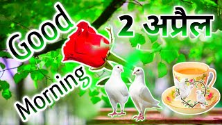 2 अप्रैल Good morning shayari video 🌹 Good morning Status shayari 🌹 Good morning 🌹 गुड मॉर्निंग screenshot 1