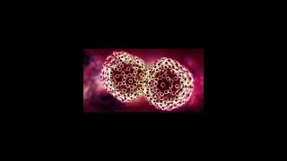 Cancer cell division Cancer cell division
