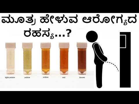 ಮೂತ್ರ ಹೇಳುವ ಆರೋಗ್ಯದ ರಹಸ್ಯ