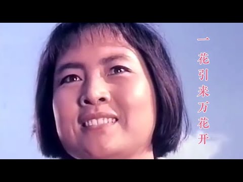 经典老歌《一花引来万花开》曲调优美，思想向上，充满激情与活力  #2023最新歌曲  #2023最新歌曲