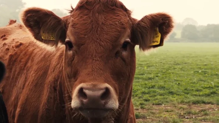 Fighting the antibiotic resistance crisis