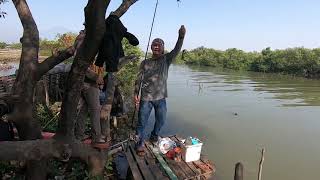 Mancing Baramundi Di Muara Kesunean Kota Cirebon