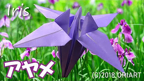 折り紙 あやめ 折り方 Mp3