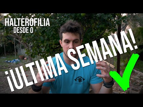 OBJETIVO: Aprender HALTEROFILIA correctamente desde 0 | semana 6