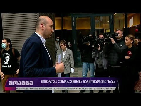 მიმართვა ევროკავშირის წარმომადგენლობას