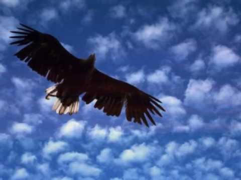 I Believe I Can Fly - LC Robinson