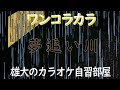 追い川 昭和の歌謡ワンコラカラ