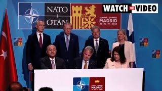 Turkey, Finland, Sweden sign memorandum to confirm NATO entry